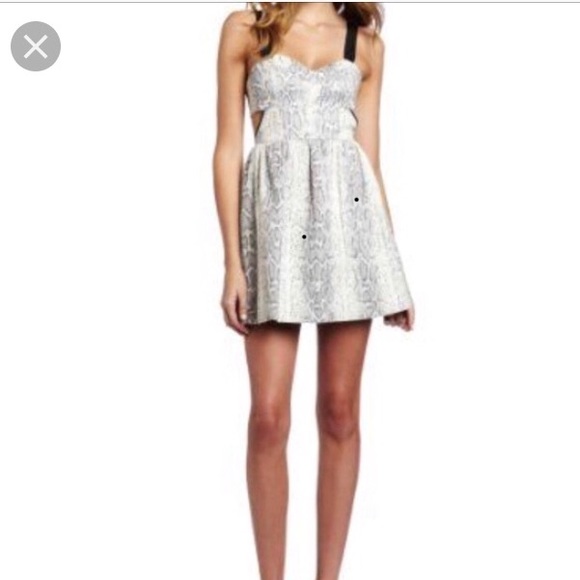 Rebecca Minkoff Dresses & Skirts - Rebecca Minkoff Grey Python party dress